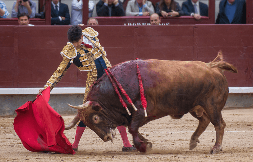 En Madrid demostró su consabida actitud de exposición y agallas con animales de aviesas intenciones / Foto: Ana Escribano