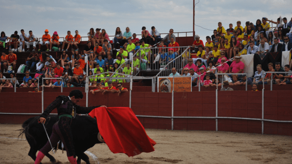 Gran ambiente en Navas del Rey, volcada con los toros tanto en lo cultural y en lo taurino / Foto: J. Roch